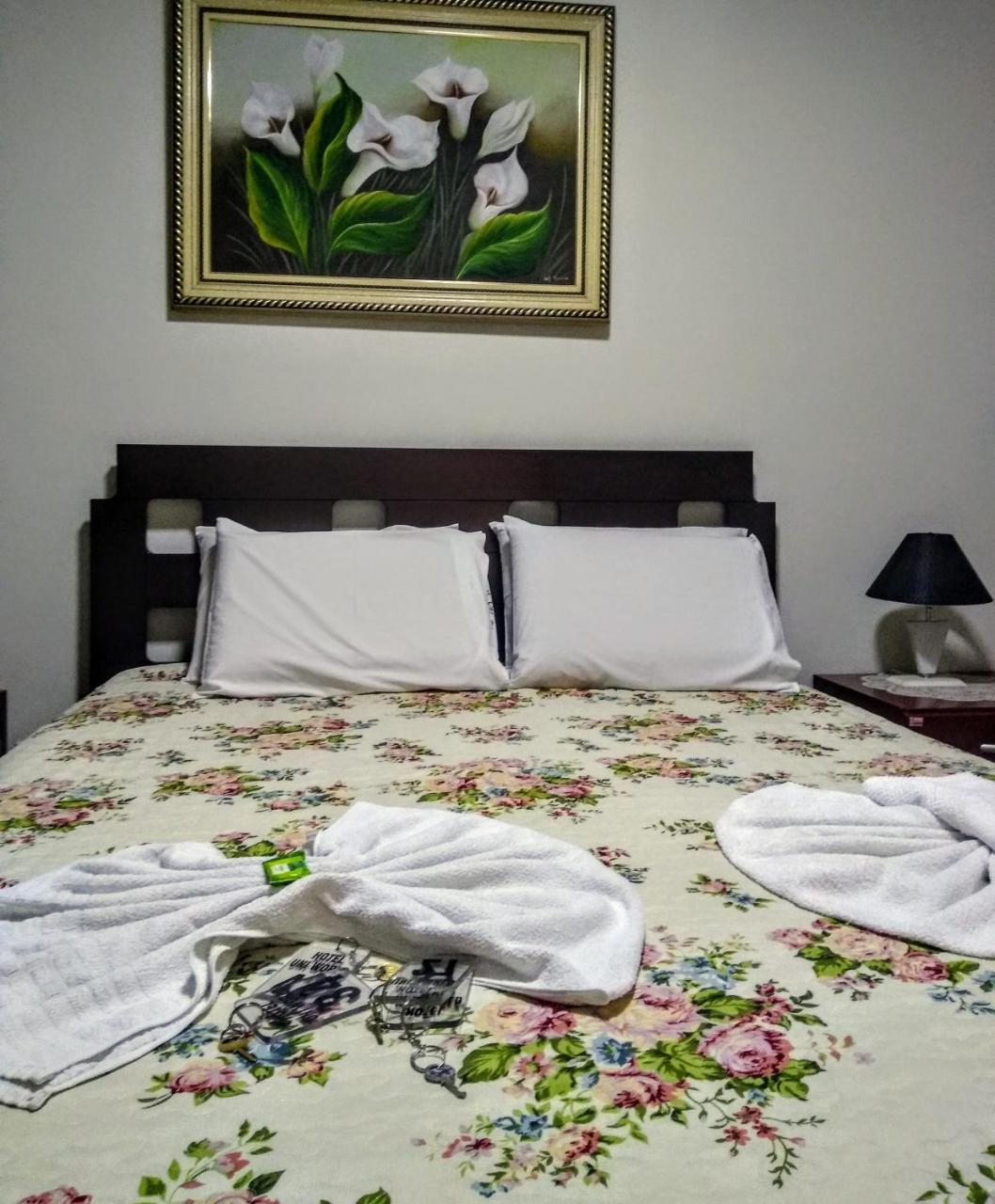 Hotel Uniworld Araçatuba エクステリア 写真
